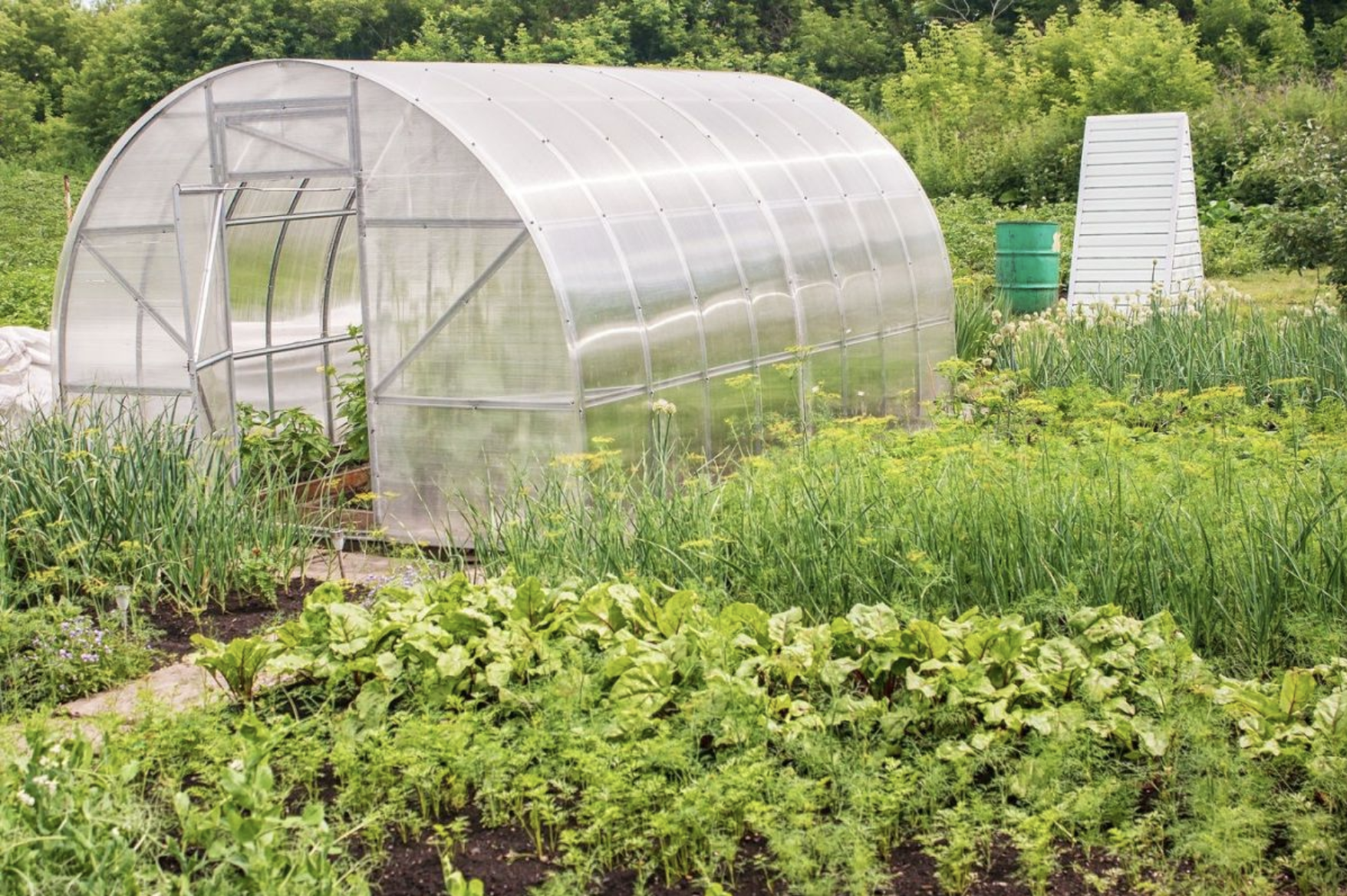 Comment construire une serre : Guide pratique pour les jardiniers - Bâche  Plastique Protection